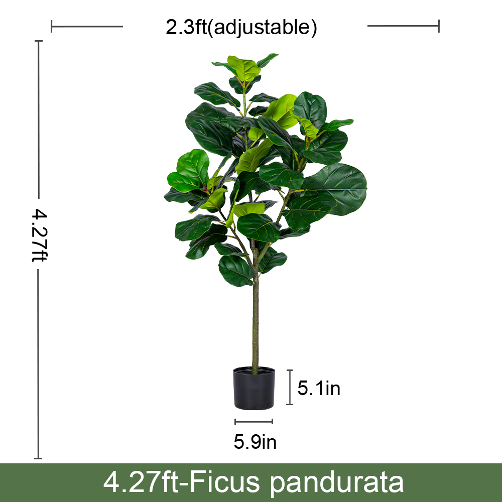 Fiddle-leaf Fig